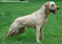 Bella at the Park 008.jpg